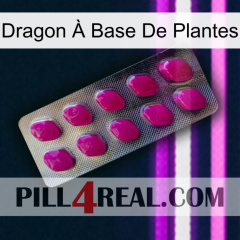Dragon À Base De Plantes 09
